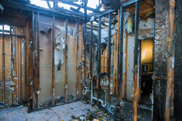 Professional Fire Damage Repair technician working in Darwin, MN