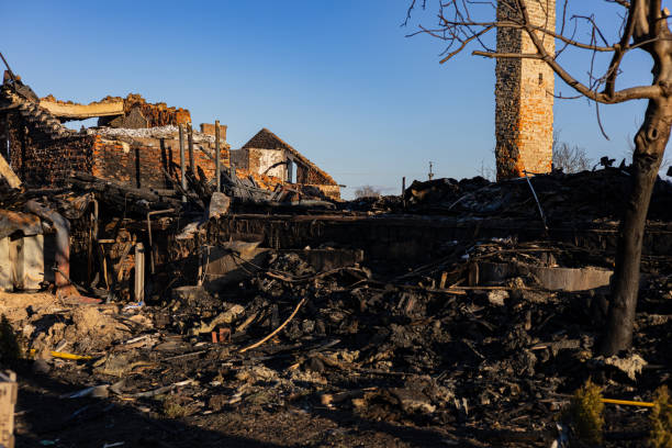 Reliable Fire Damage Repair contractor in Darwin, MN by Fire Damage Doption