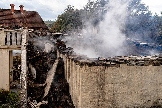 Affordable Fire Damage Repair solutions in Darwin, MN