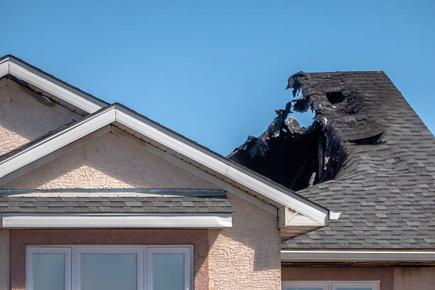 Top rated local Fire Damage Repair specialists in Darwin, MN